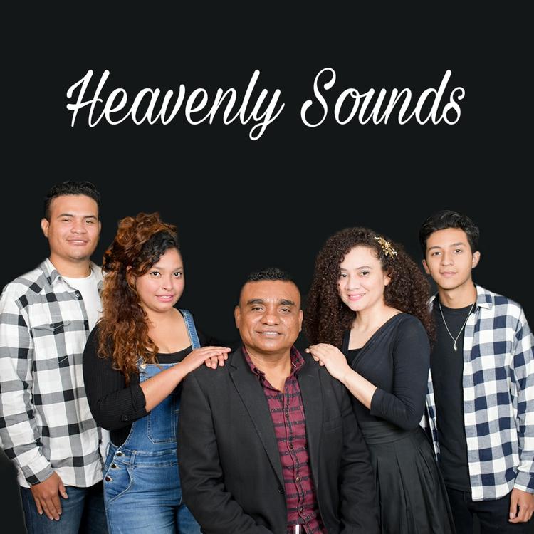 Heavenly sounds's avatar image