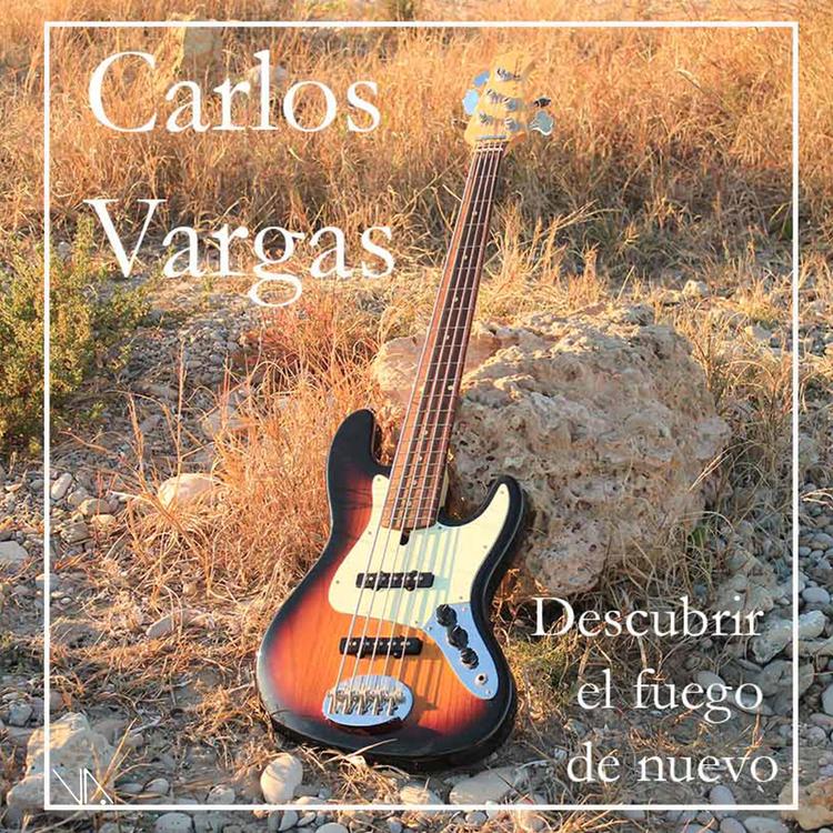 Carlos Vargas's avatar image