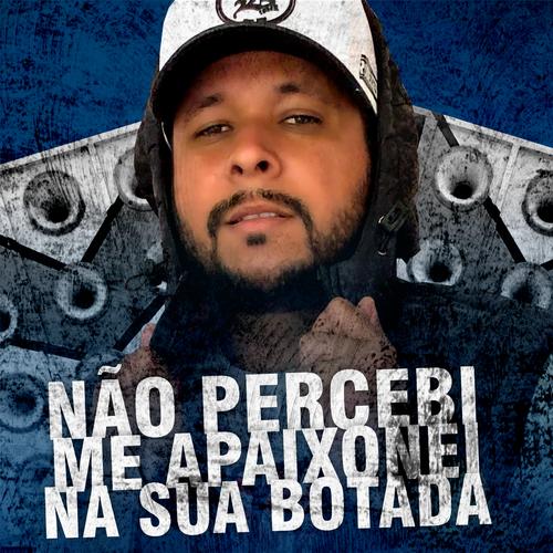 Não Percebi Me Apaixonei na Sua Botada ('s cover