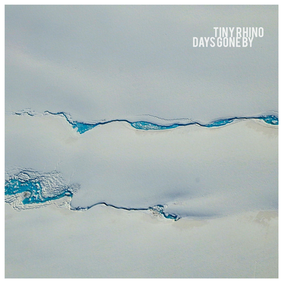 Days Gone By By Tiny Rhino's cover