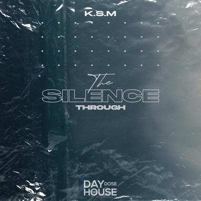 Through The Silence By K.S.M's cover