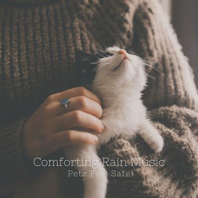 Comforting Rain Music: Pets Feel Safe's cover