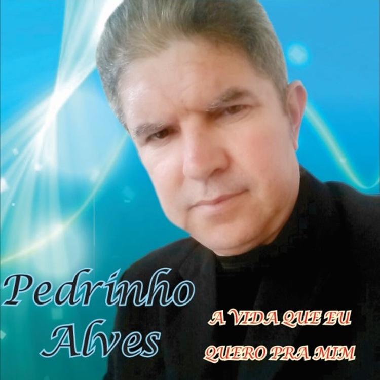 Pedrinho Alves's avatar image
