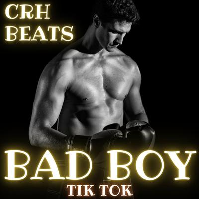 Bad Boy Tik Tok's cover