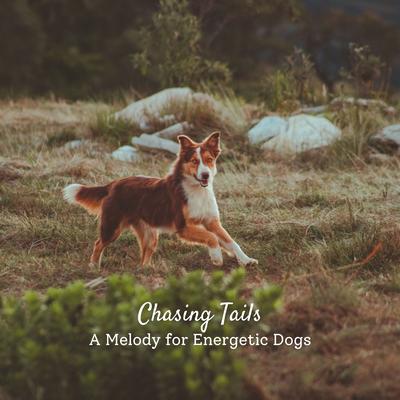 Chasing Tails: A Melody for Energetic Dogs's cover