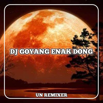 DJ GOYANG ENAK DONG's cover