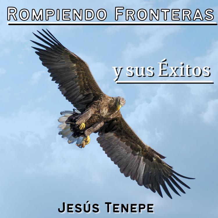 Jesús Tenepe's avatar image