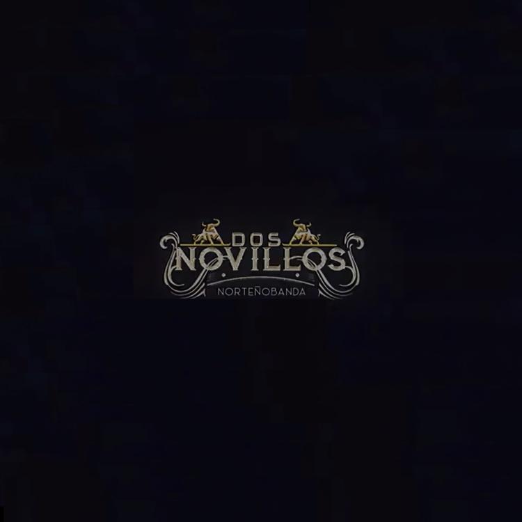 Los Dos Novillos NB's avatar image