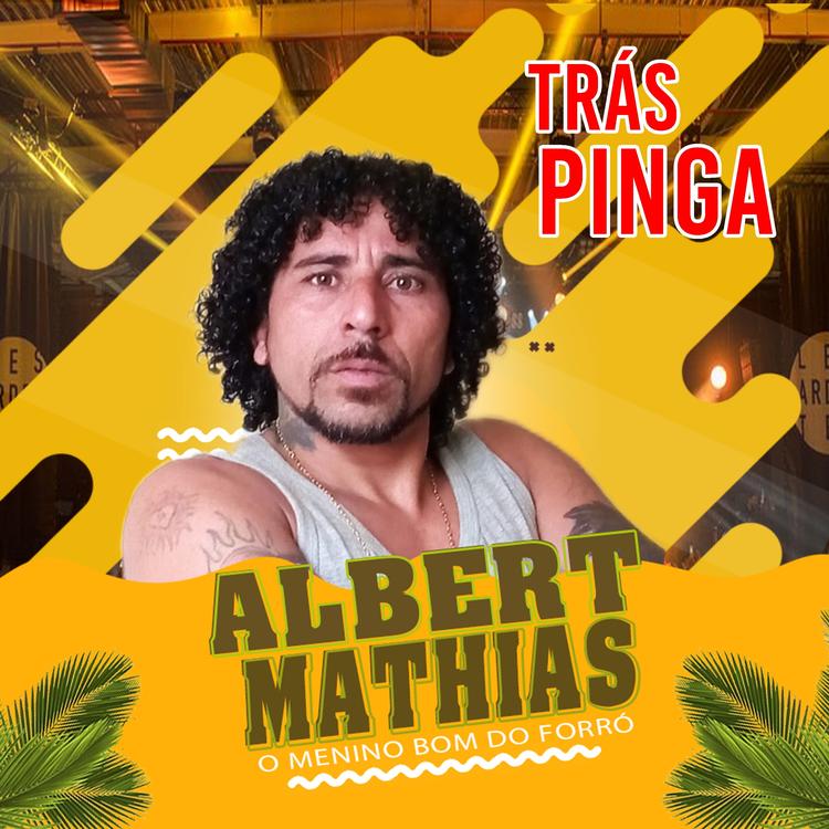 Albert Mathias's avatar image