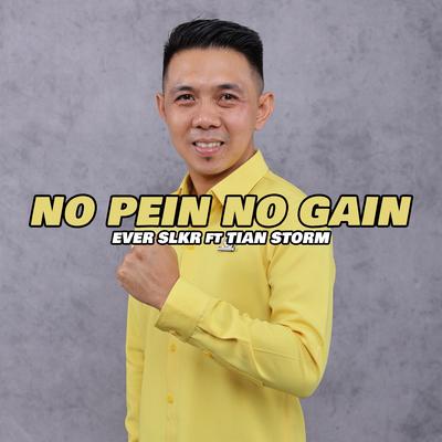 No Pein no Gain's cover