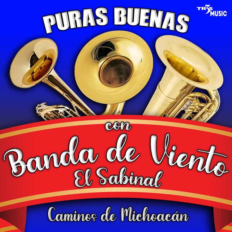 Banda de Viento El Sabinal's avatar image