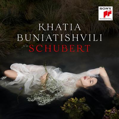 Schubert's cover