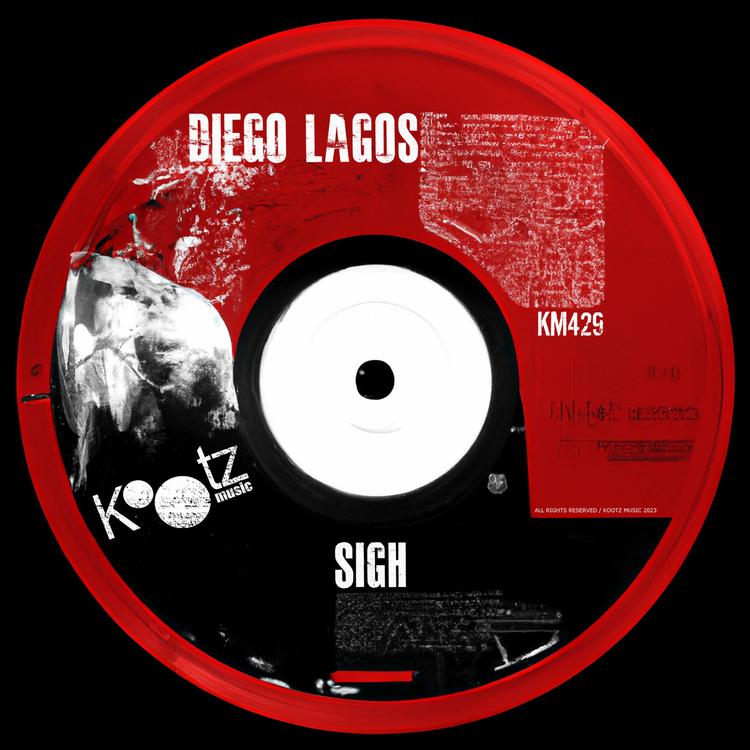 Diego Lagos's avatar image