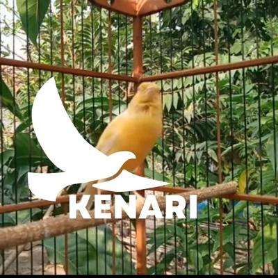 Kenari's cover