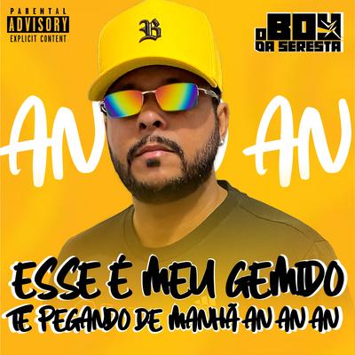 Esse É Meu Gemido Te Pegando de Manhã An An An By O Boy da Seresta's cover