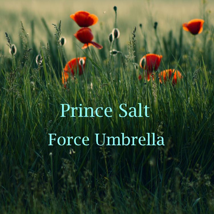 Prince Salt's avatar image