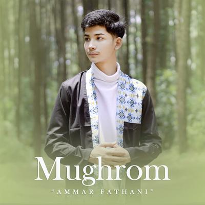 Mughrom's cover