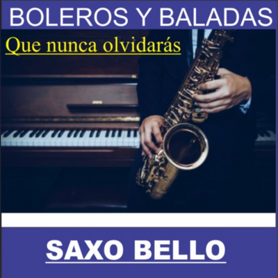 Perdoname/camilo Sesto By Saxo Elegante's cover