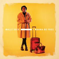 Wally B. Seck's avatar cover