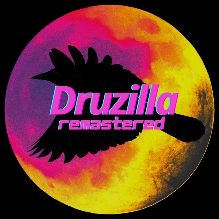 Druzilla's avatar image