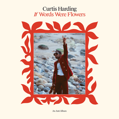 I Won't Let You Down By Curtis Harding's cover