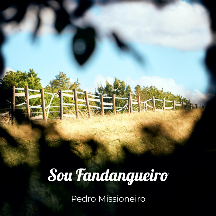 Pedro Missioneiro's avatar image