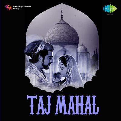 Taj Mahal's cover