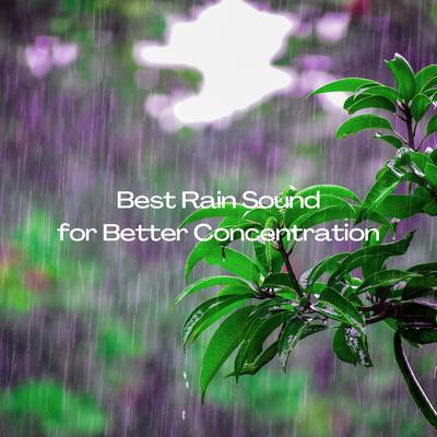 Best Rain Sound for Better Concentration's cover