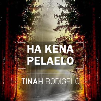 Tinah Bodigelo's cover