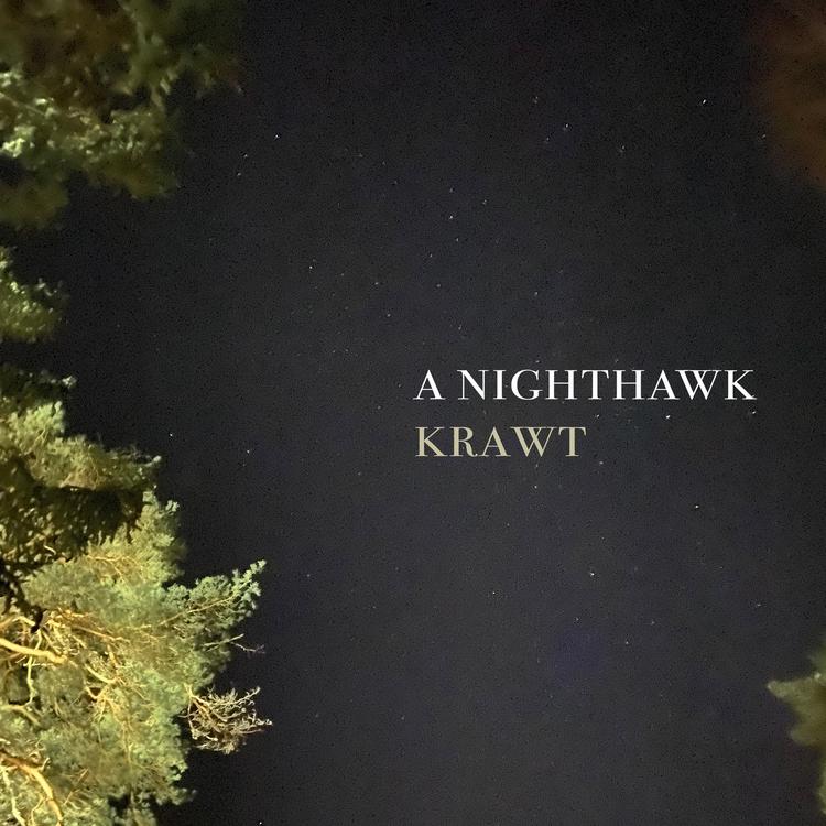 A Nighthawk's avatar image
