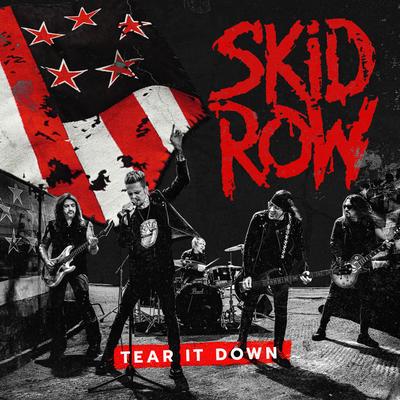Tear It Down's cover