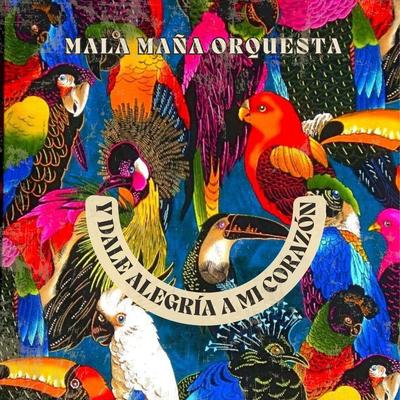 Mala Maña Orquesta's cover