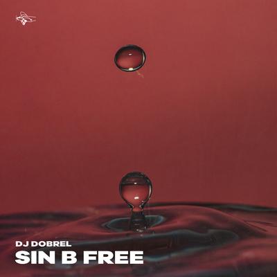 Sin B Free By DJ DobreL's cover