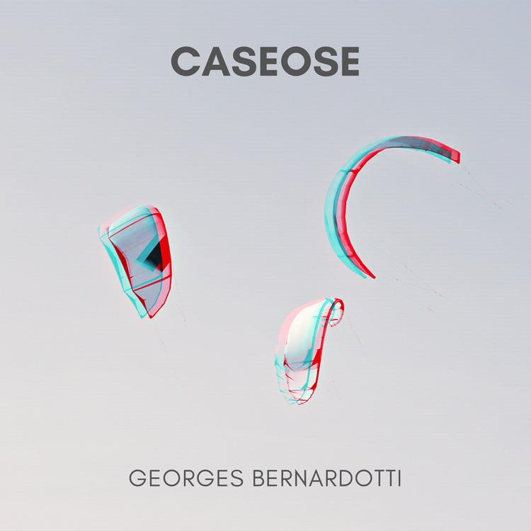 Georges Bernardotti's avatar image