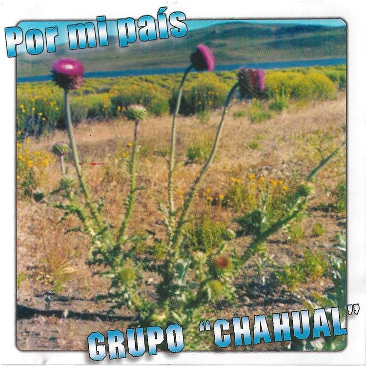 Grupo Chahual's avatar image