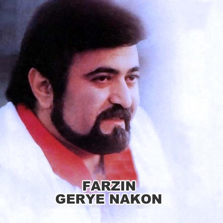 Farzin's avatar image