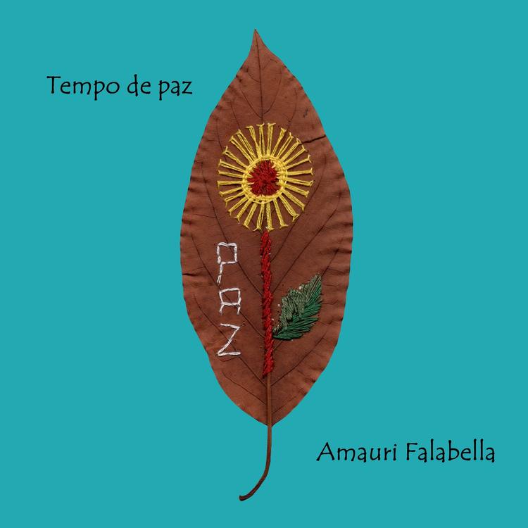 Amauri Falabella's avatar image