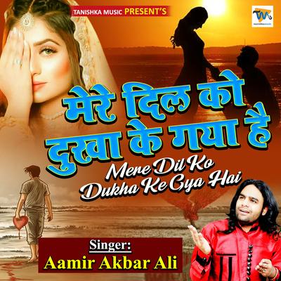 Mere Dil Ko Dukha Ke Gya Hai By Aamir Akbar Ali's cover