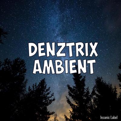 Denztrix's cover