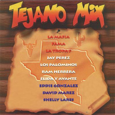 Tejano Mix's cover