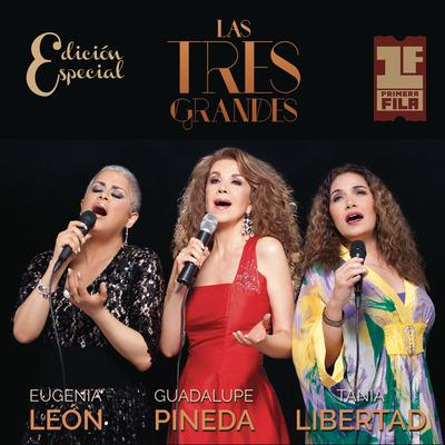 Primera Fila (Edición Especial [En Vivo])'s cover