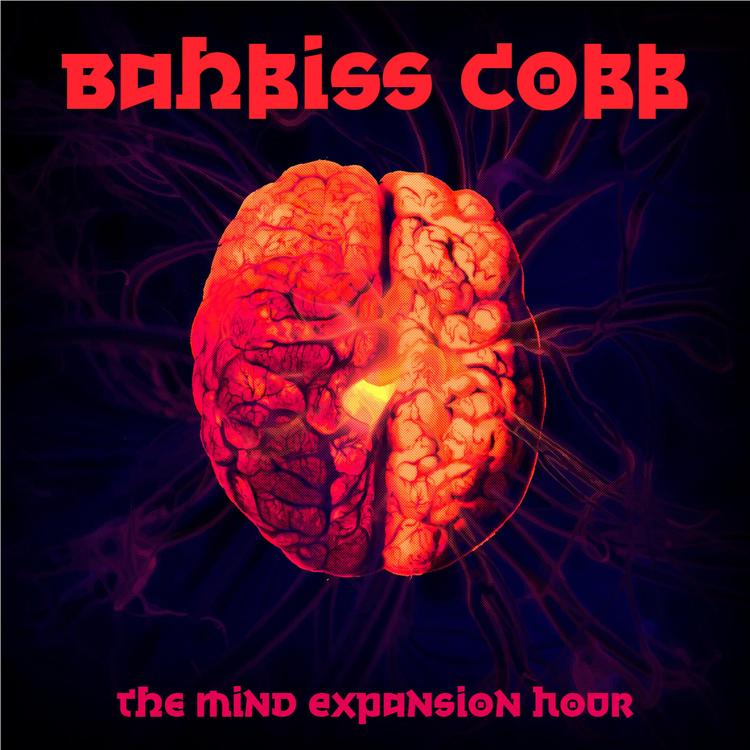 Bahbiss Cobb's avatar image