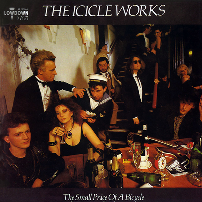 Assumed Sundown By The Icicle Works's cover