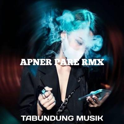 Apner Pare RMX's cover