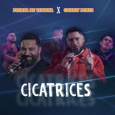 Cicatrices's cover