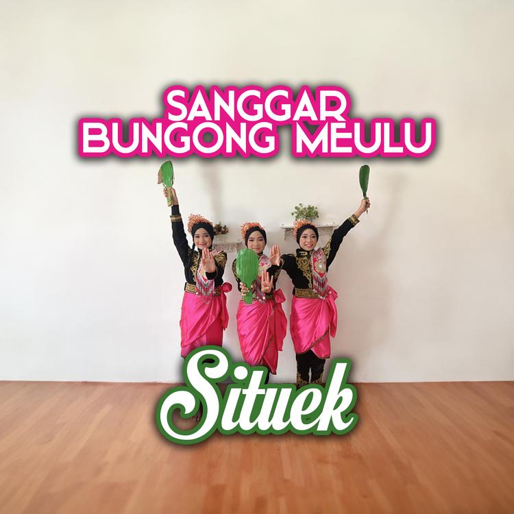 Sanggar Bungong Meulu's avatar image