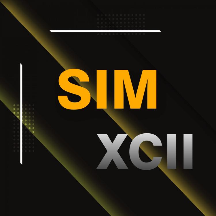 SIM XCII's avatar image