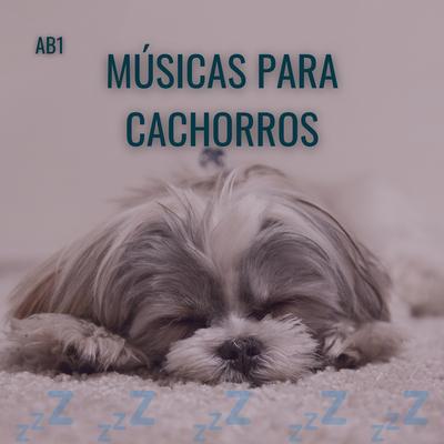 Musica para Relaxar Cachorro By Músicas Para Cachorros's cover