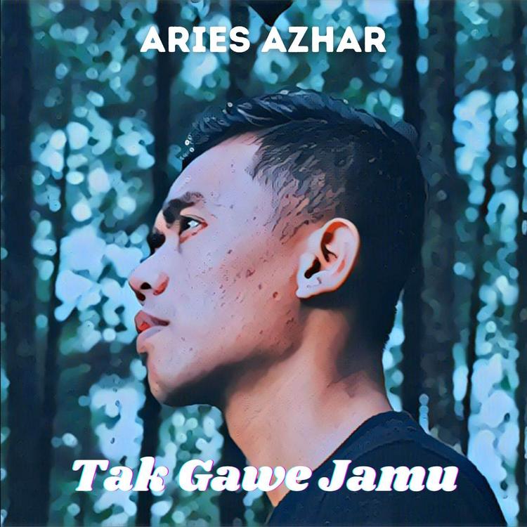 Aries Azhar's avatar image