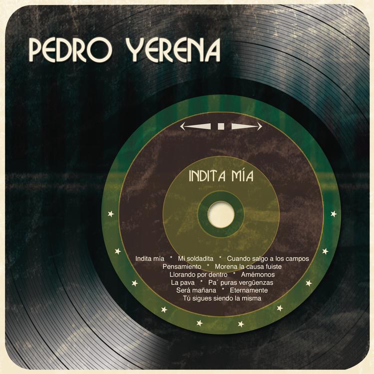 Pedro Yerena's avatar image